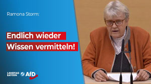 Im Bayerischen Landtag - AfD, MdL