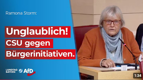 Im Bayerischen Landtag - AfD, MdL