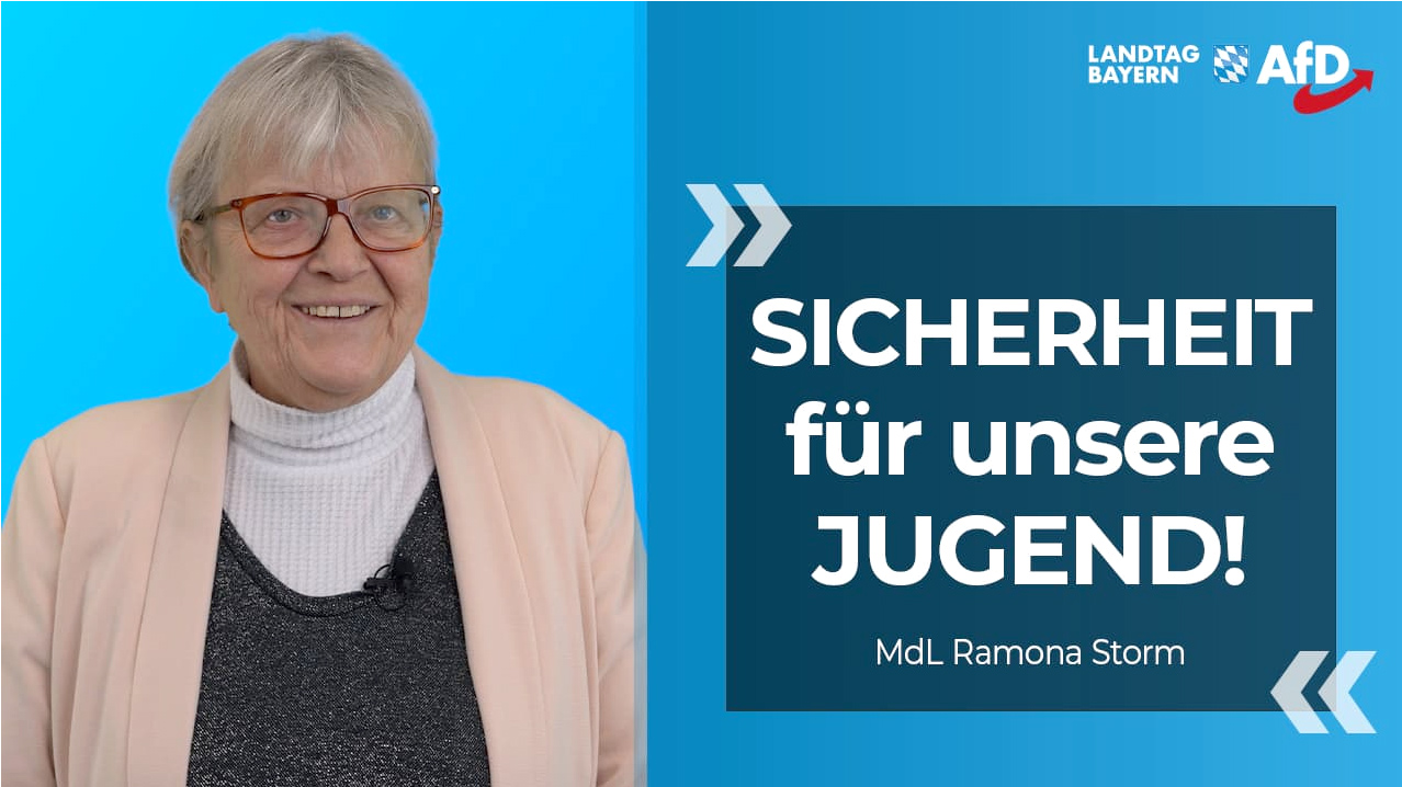 Im Bayerischen Landtag - AfD, MdL