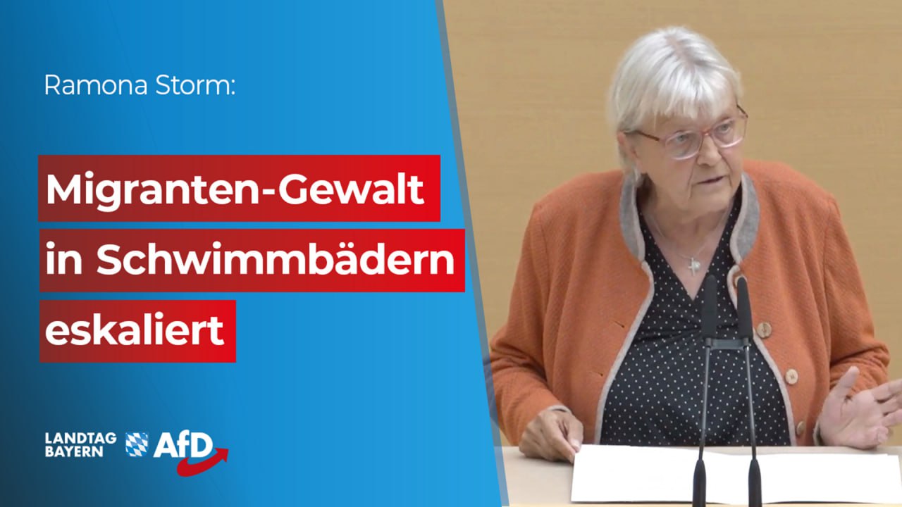 Im Bayerischen Landtag - AfD, MdL