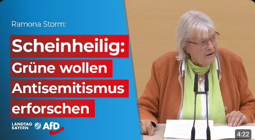 Im Bayerischen Landtag - AfD, MdL