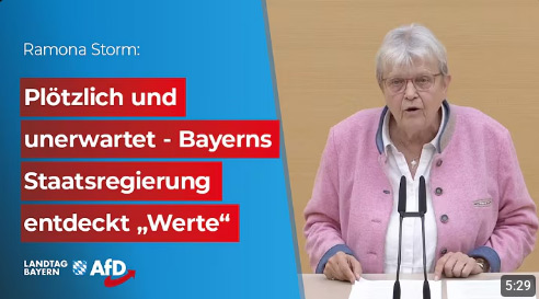 Im Bayerischen Landtag - AfD, MdL