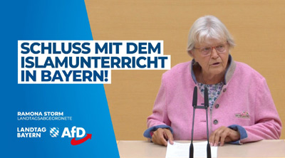 Im Bayerischen Landtag - AfD, MdL