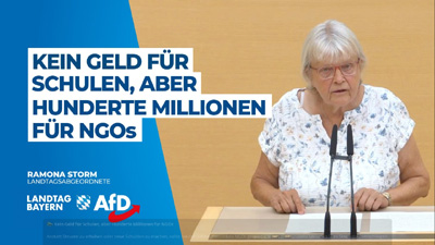 Im Bayerischen Landtag - AfD, MdL