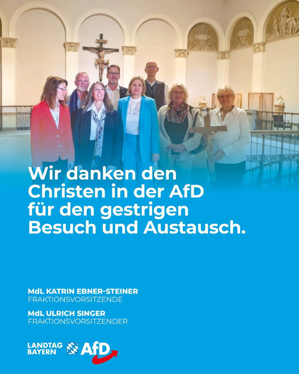 Kachel Ecke AfD, MdL
