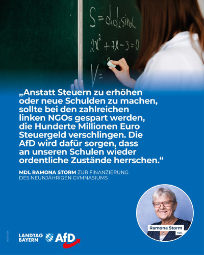 Im Bayerischen Landtag - AfD, MdL