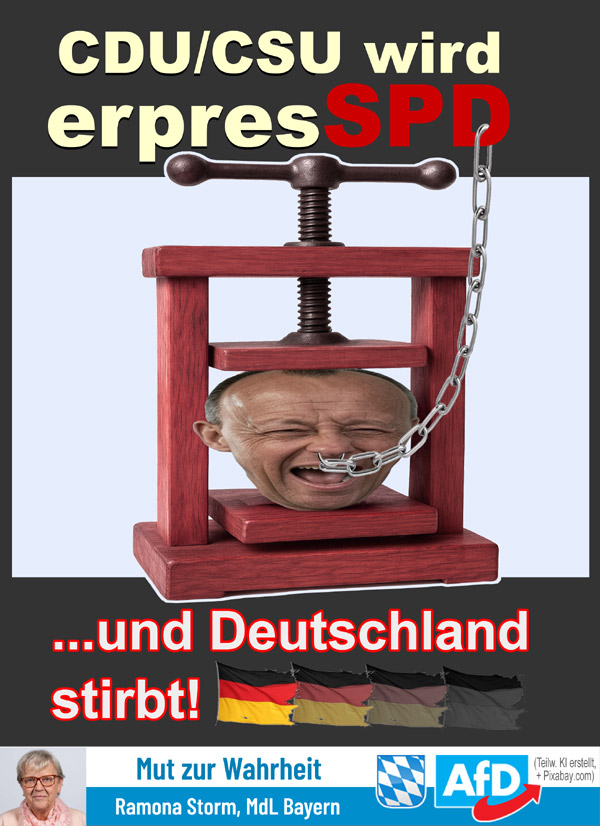 Kachel Ecke AfD, MdL