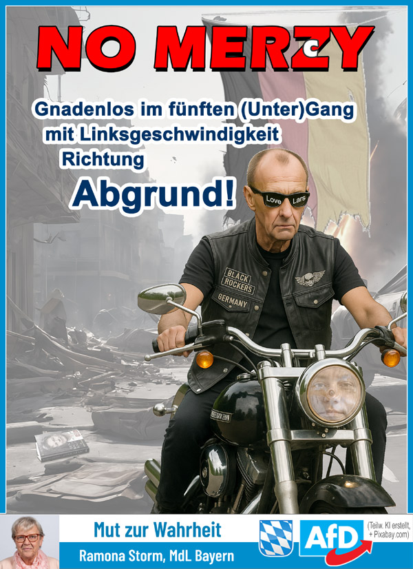 Kachel Ecke AfD, MdL