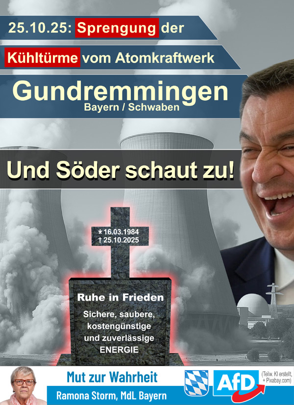 Kachel Ecke AfD, MdL