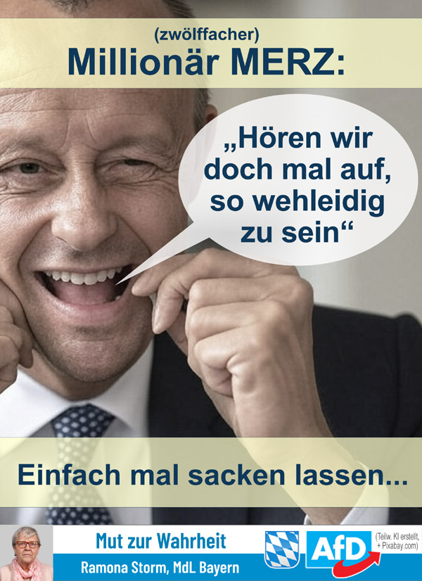 Kachel Ecke AfD, MdL