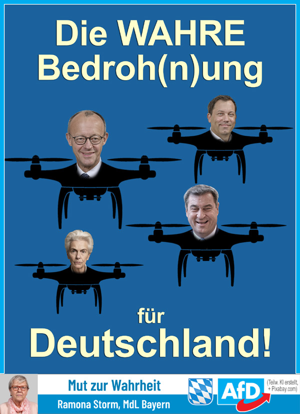 Kachel Ecke AfD, MdL