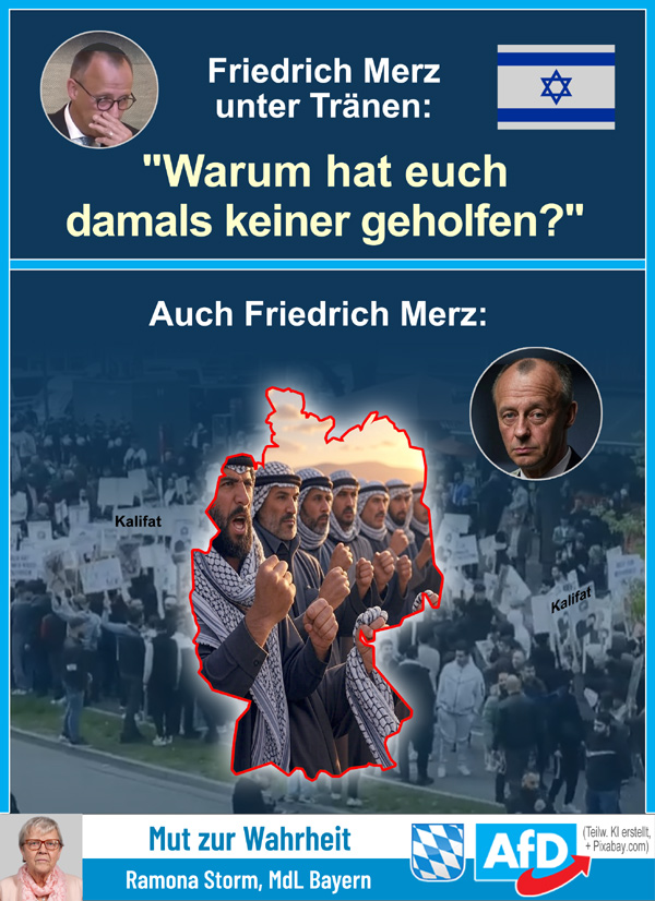 Kachel Ecke AfD, MdL