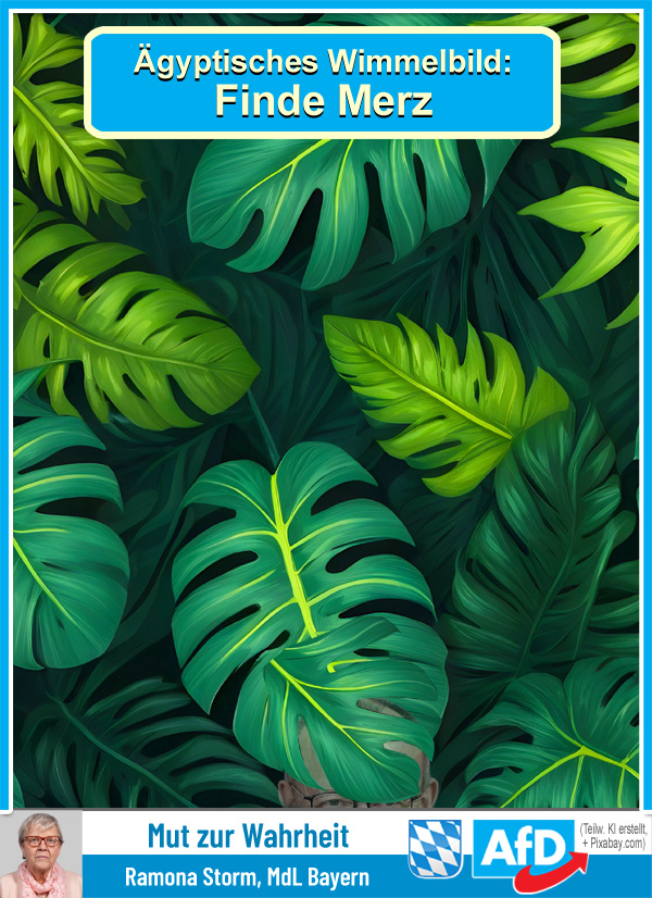 Kachel Ecke AfD, MdL