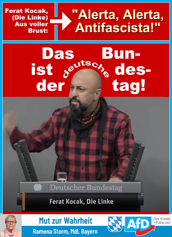 Kachel Ecke AfD, MdL