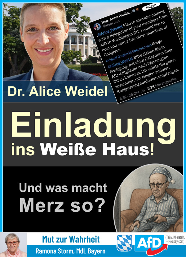 Kachel Ecke AfD, MdL