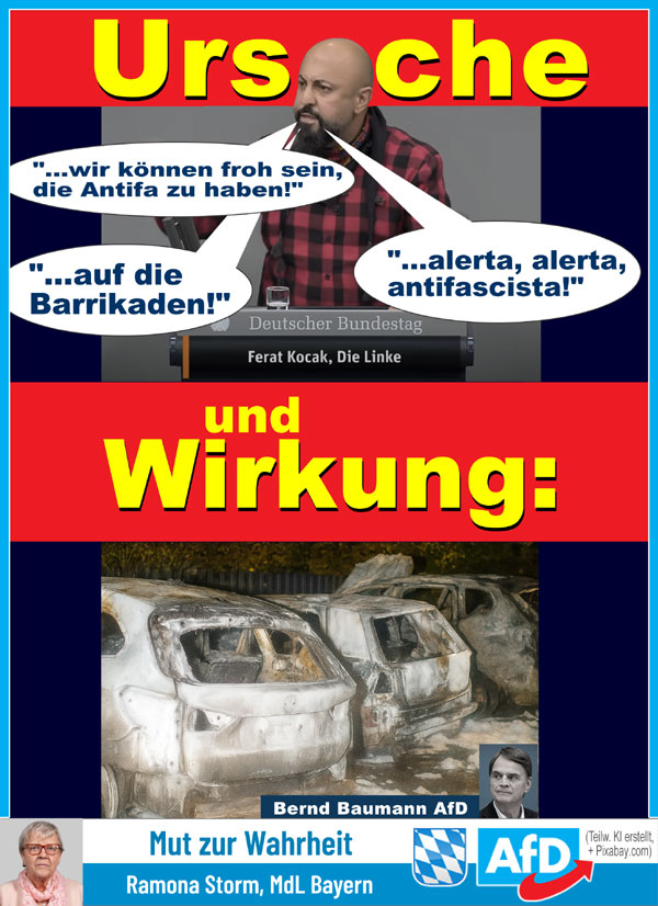 Kachel Ecke AfD, MdL