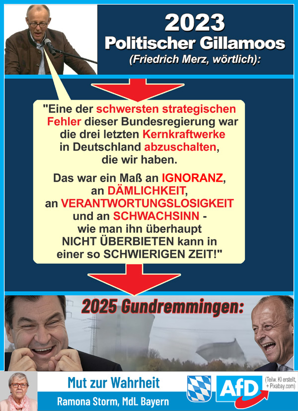 Kachel Ecke AfD, MdL