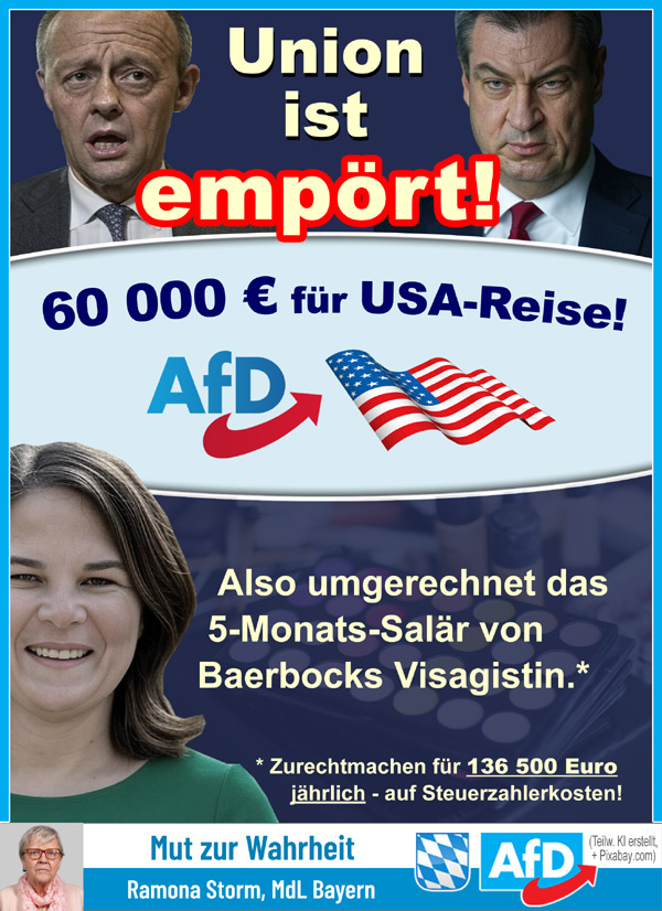 Kachel Ecke AfD, MdL