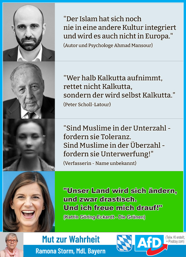 Kachel Ecke AfD, MdL