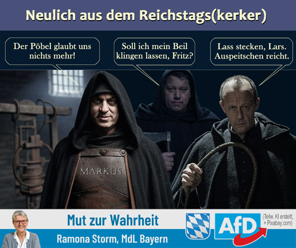 Kachel Ecke AfD, MdL