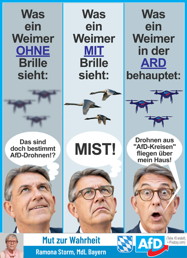 Kachel Ecke AfD, MdL