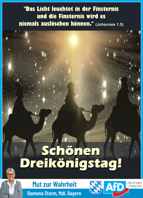 Kachel Ecke AfD, MdL