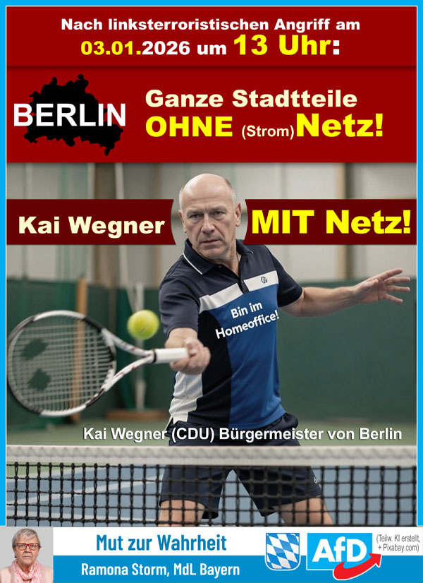 Kachel Ecke AfD, MdL