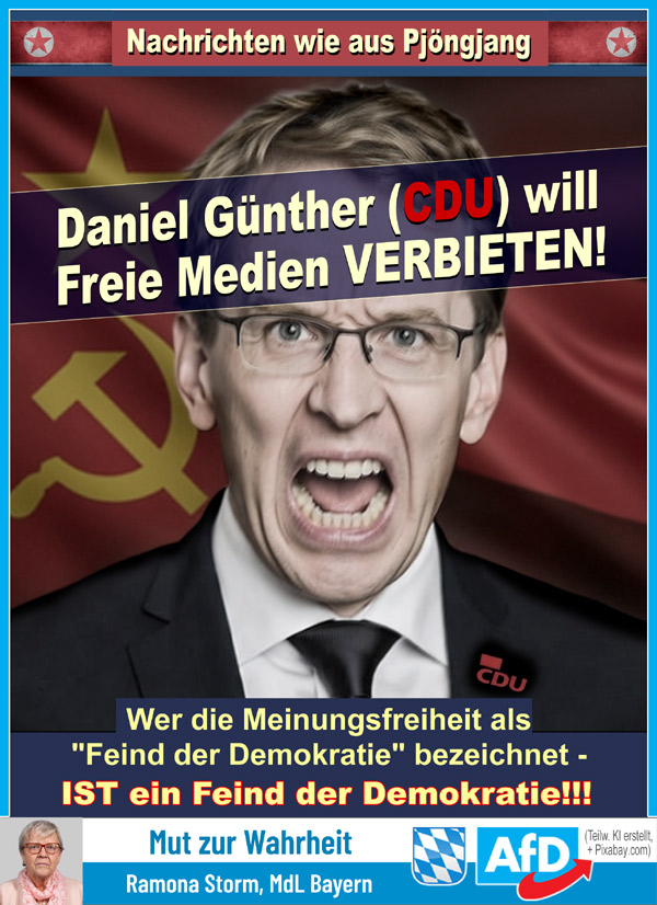 Kachel Ecke AfD, MdL