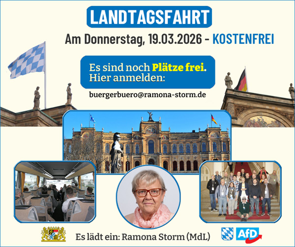 Kachel Ecke AfD, MdL
