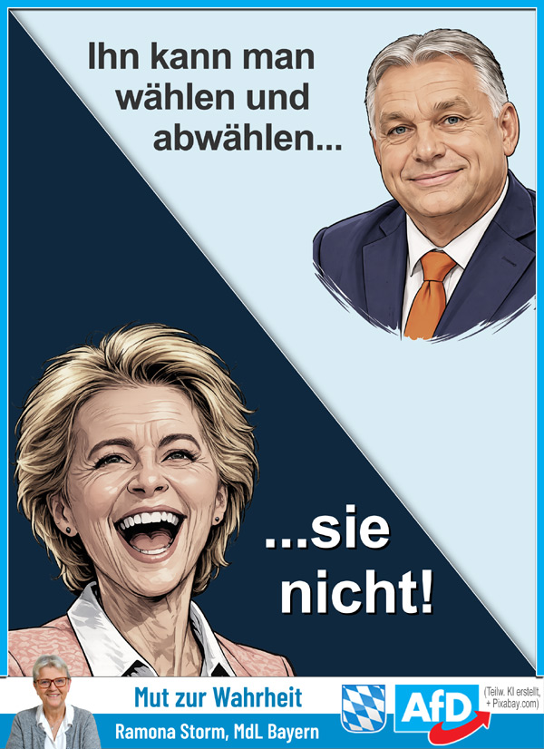 Kachel Ecke AfD, MdL