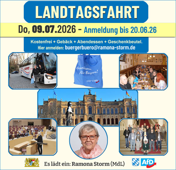 Kachel Ecke AfD, MdL