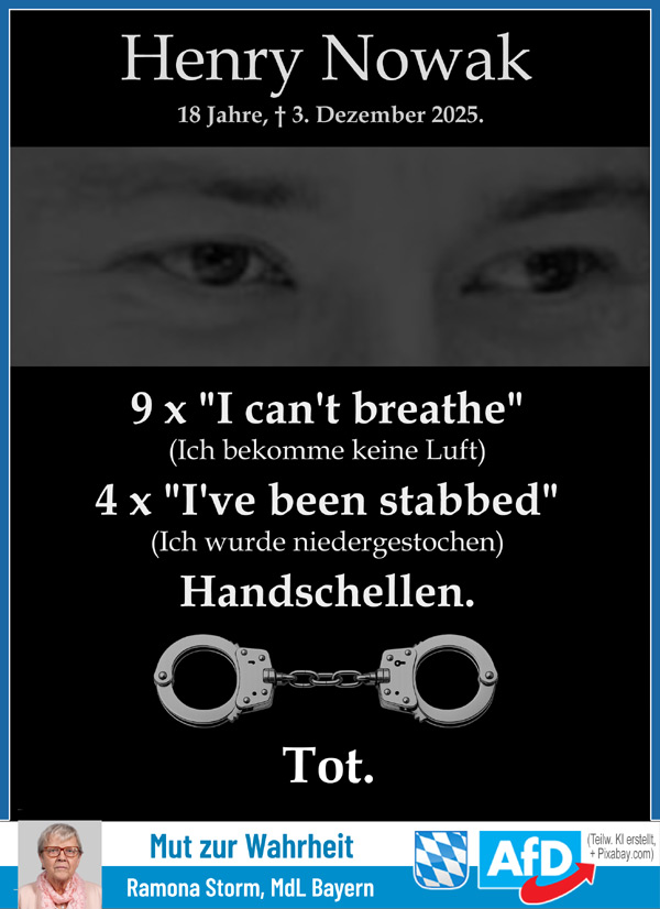 Kachel Ecke AfD, MdL