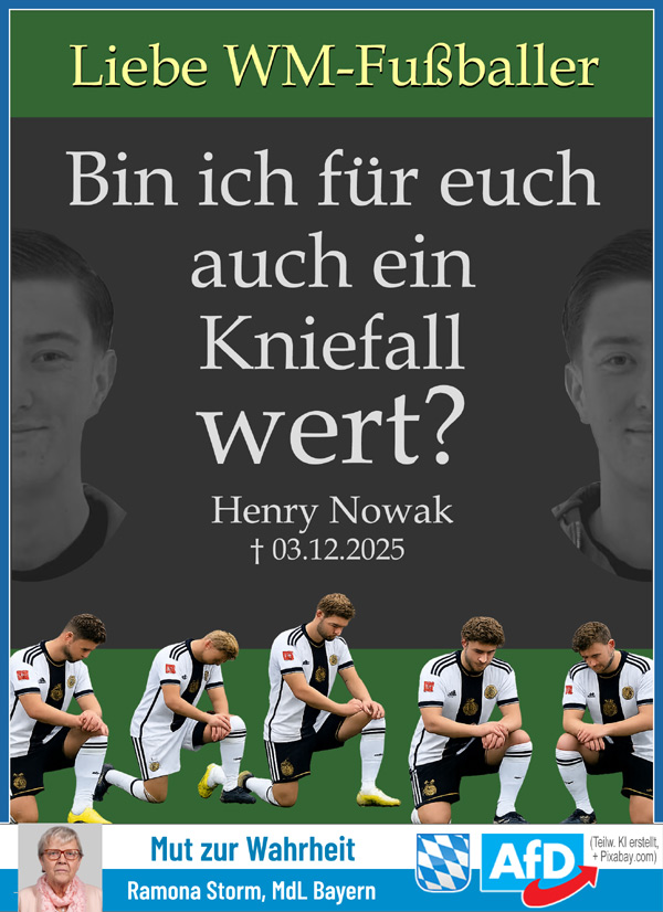 Kachel Ecke AfD, MdL