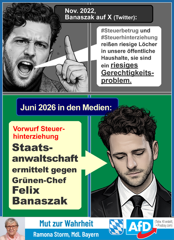 Kachel Ecke AfD, MdL