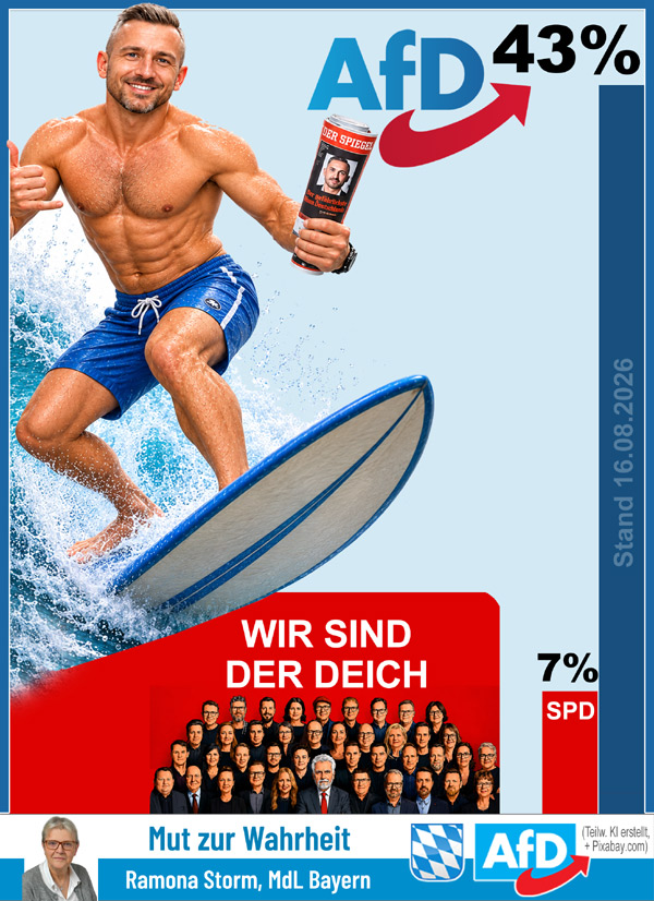 Kachel Ecke AfD, MdL
