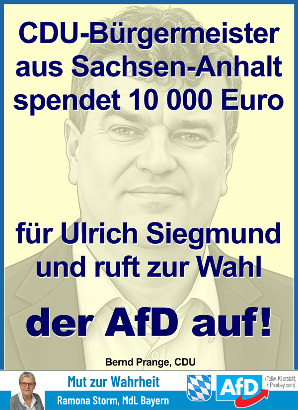 Kachel Ecke AfD, MdL