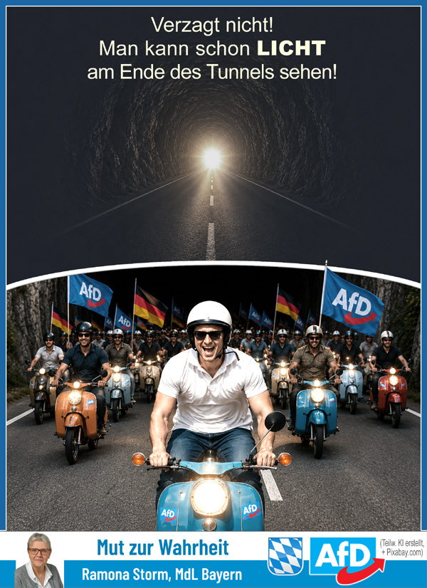 Kachel Ecke AfD, MdL