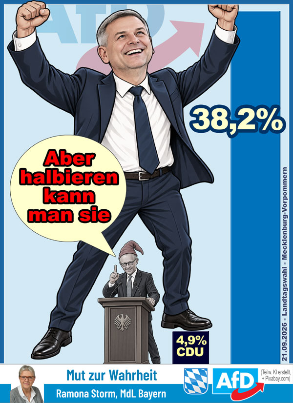 Kachel Ecke AfD, MdL