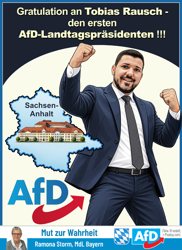 Kachel Ecke AfD, MdL