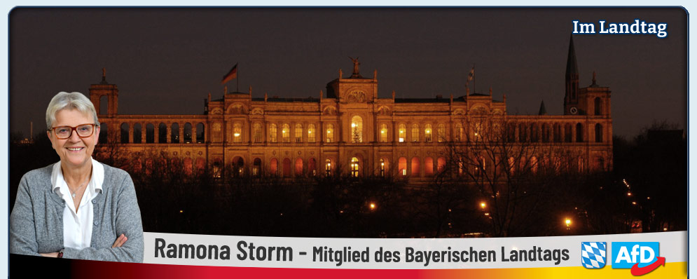 Storm Mitglied des bayerischen Landtag